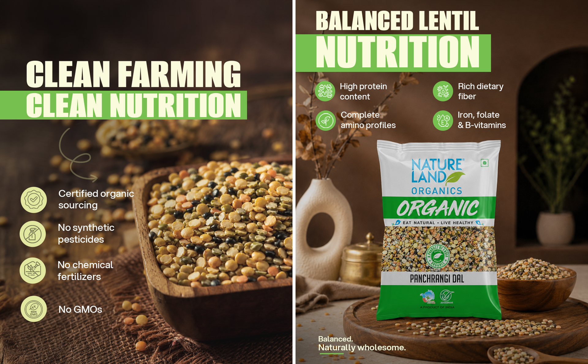Natureland Organics Panchrangi Dal/Mix Dal 500 Gm - Organic Healthy Pulses