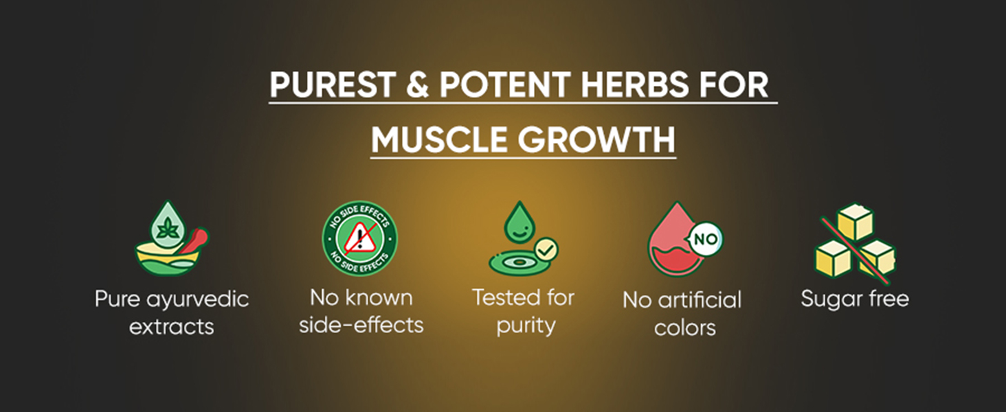 DR. VAIDYA'S new age ayurveda Herbobuild Ds (Double Strength) Capsules | Ayurvedic Muscle & Mass Gainer For Enhanced Stamina & Peak Fitness | 30 Tablets per Pack | Pack Of 3