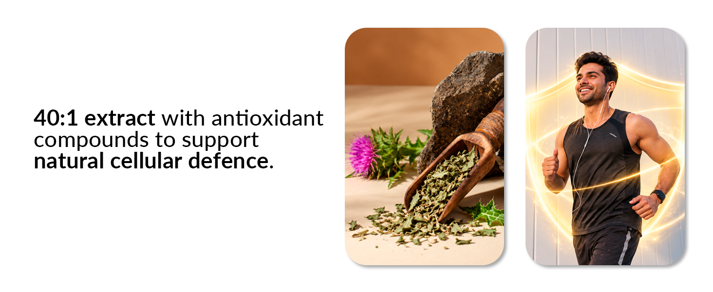 Ambrosial Milk Thistle 4000 mg | High Strength Liver Support Antioxidant | Liver Detox Supplement (Pack of 1-120 Tablets)