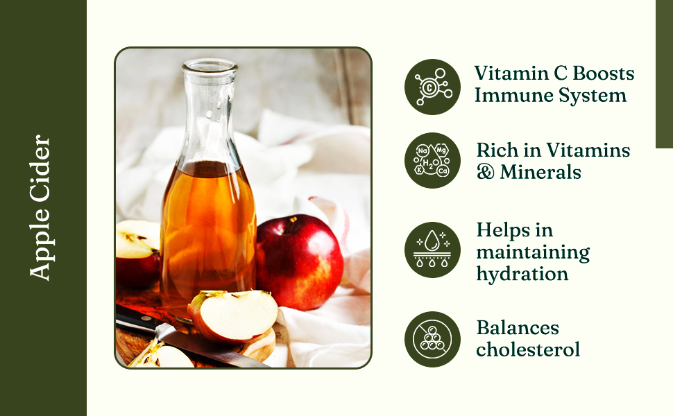 Vamnaya Lemon Green Coffee with Apple Cider Vinegar and Prebiotics | Weight Management, Gut Health, Calm and Digestion Support | L-Theanine | Pack of 1