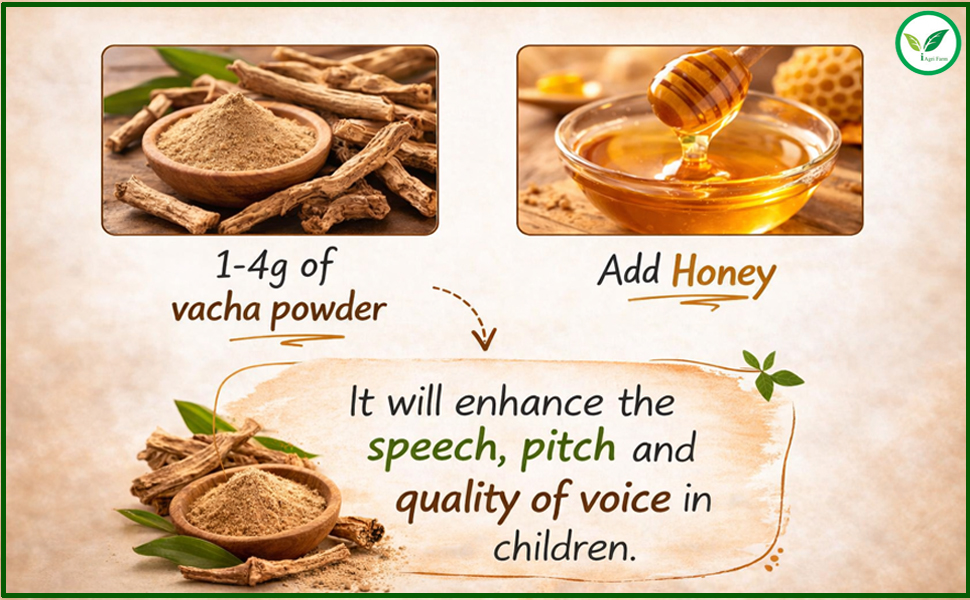 Iagrifarm Vacha Root Powder - 250 gram - Sweet Flag/Vasambu/Calamus Root Powder