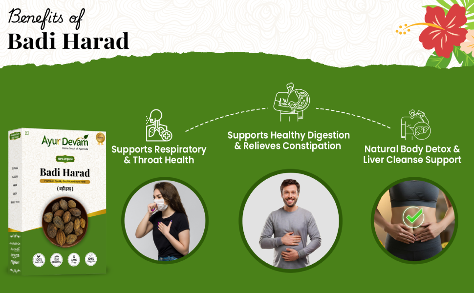 Harad Badi|Bada Harra | Haritaki Badi|Yellow Terminalia Chebula Natural | Badi Harad Whole | Aralu | Inknut | Haritaki | Kadukkai |Harar|Karakkaya |बड़ी हरड़| हर्रा | बड़ी हरीतकी | पीली हरड़ (450 Gram)