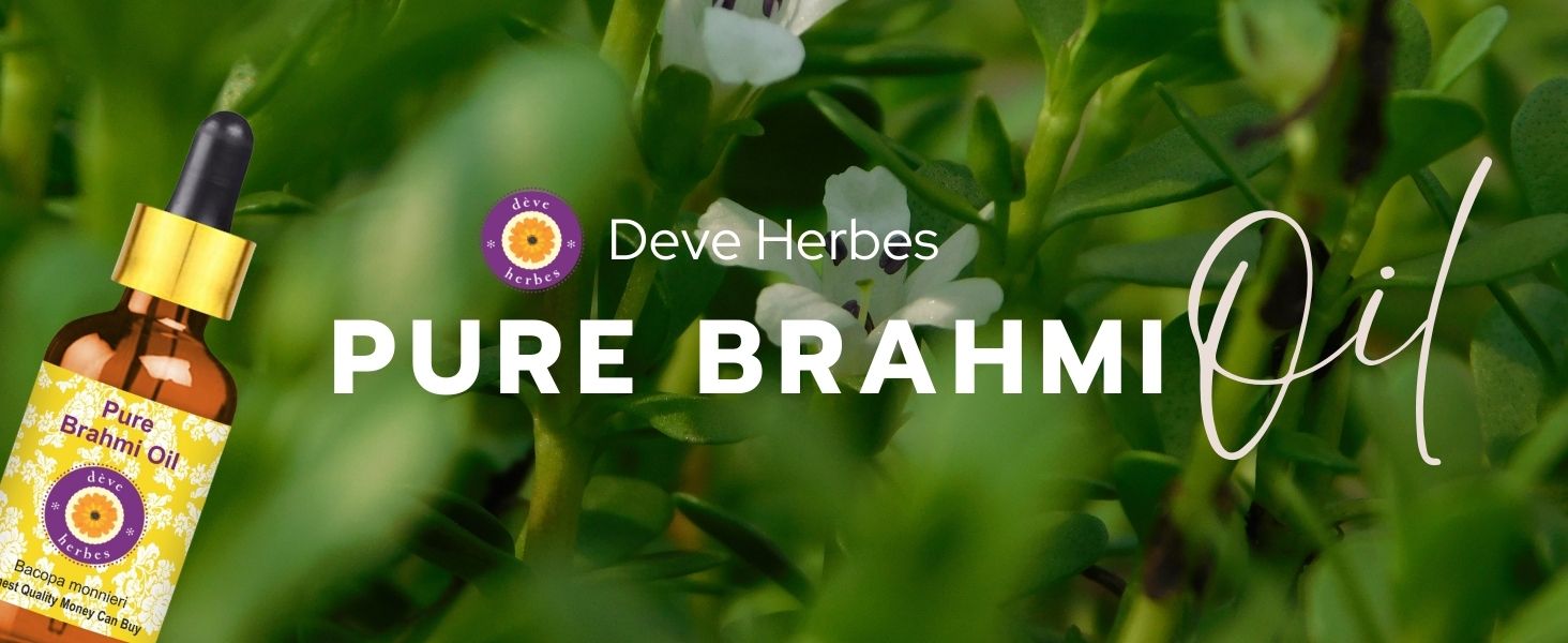 Deve Herbes Brahmi Oil (Bacopa monnieri) | Infused | Pure | Non-Sticky | Lightweight | For Hair Care Routines | Men & Women | Traditional Use | Natural | 50ml