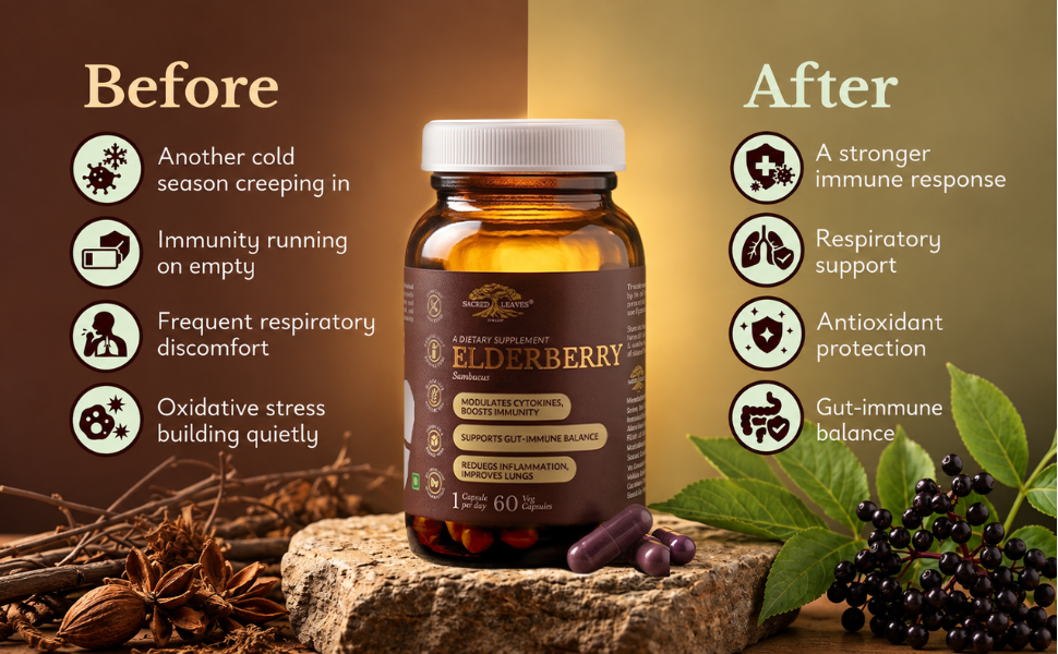 Elderberry Extract 500 mg, Immune Support Supplement