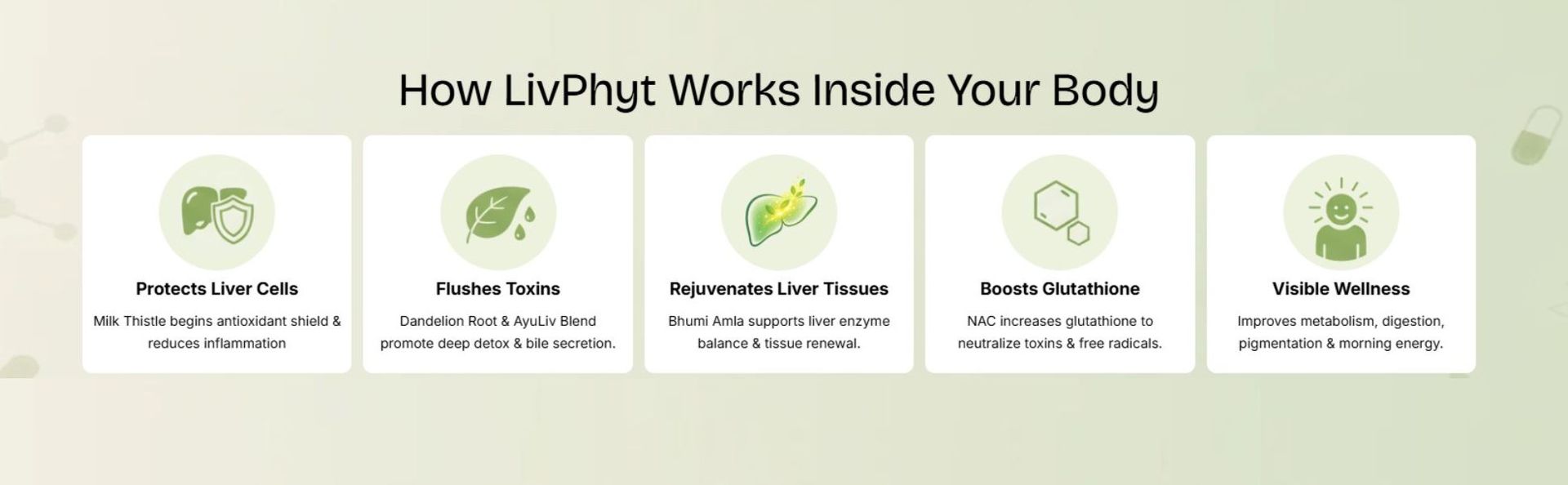LivPhyt Liver Detox Supplement with Milk Thistle, N-Acetyl L-Cysteine, Dandelion Root & Ayurvedic Herb Blend, Nutraceutical 60 Capsules