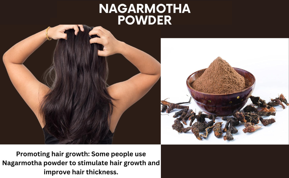 Herbal Hills Nagarmotha Powder, (1kg Single Pack) | Supports Digestion & Fat Metabolism | Nagarmotha Churna For Bloating, Acidity & Detox | With Cyperus Rotundus Root