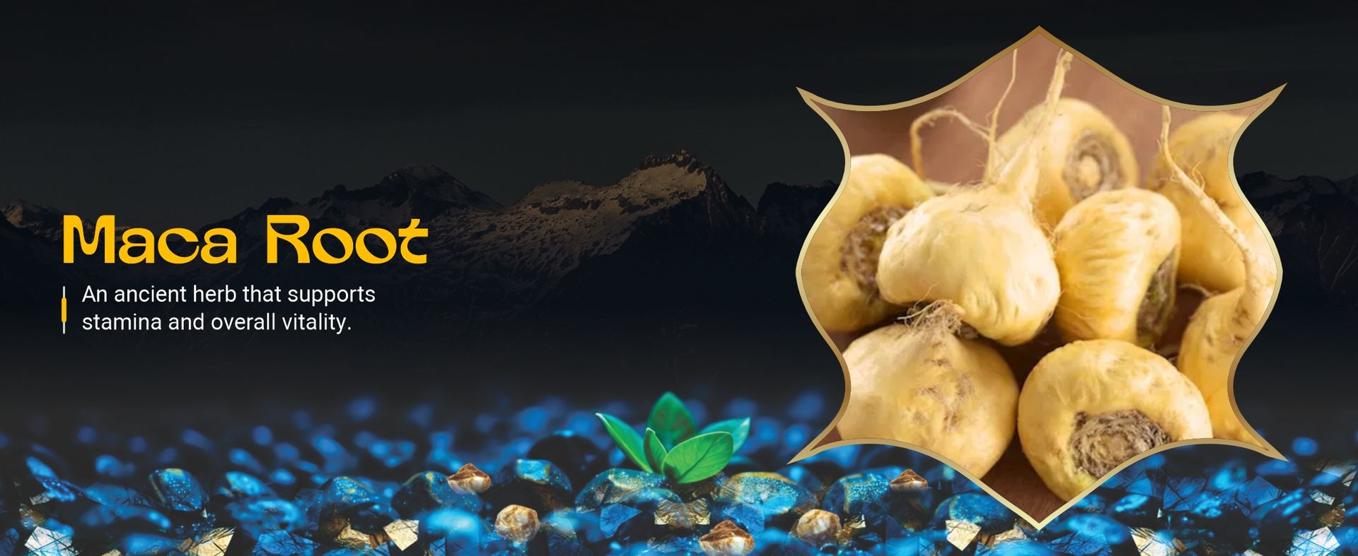 Bliss Welness Shilajit/Shilajeet Gold Resin, 30g | More Than 70%+ Fulvic Acid | 7x Formula with 24K Gold, Kaunch, Ashwagandha, Black Musli, Maca Root | Boosts Enegry, Endurance, Vitality Strength Stamina | 100% Ayurvedic | 60 Servings