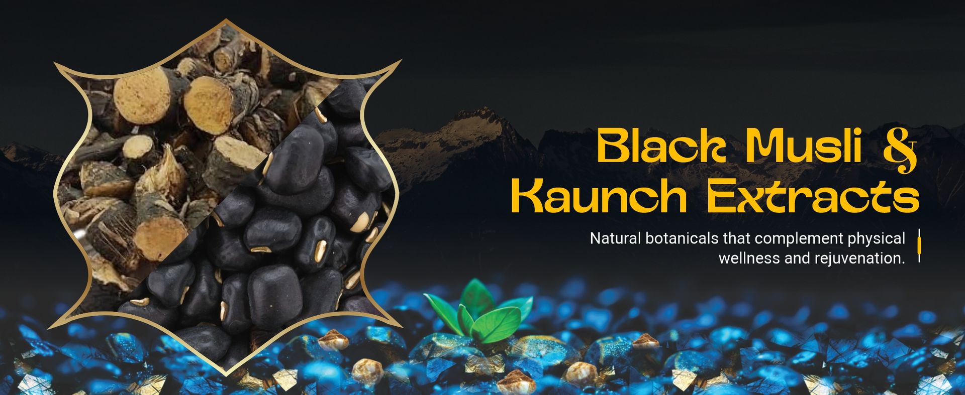 Bliss Welness Shilajit/Shilajeet Gold Resin, 30g | More Than 70%+ Fulvic Acid | 7x Formula with 24K Gold, Kaunch, Ashwagandha, Black Musli, Maca Root | Boosts Enegry, Endurance, Vitality Strength Stamina | 100% Ayurvedic | 60 Servings