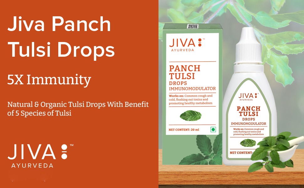 Jiva Tulsi Drops - 20 ml | 100% Ayurvedic Formulation Made Of Five Species Of Tulsi | Detox The Body, Boost 5X Immunity & Promote Healthy Metabolism | Prevents Cough, Cold & Viral Fever (Pack of 1)