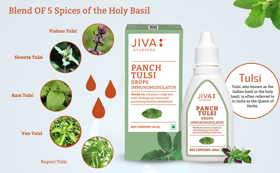 Jiva Tulsi Drops - 20 ml | 100% Ayurvedic Formulation Made Of Five Species Of Tulsi | Detox The Body, Boost 5X Immunity & Promote Healthy Metabolism | Prevents Cough, Cold & Viral Fever (Pack of 1)