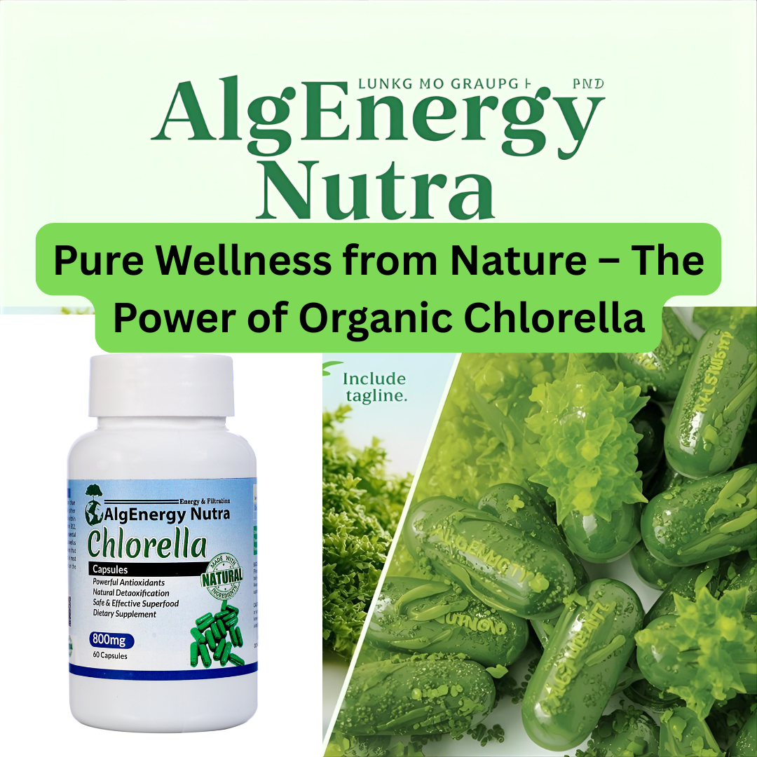Organic Chlorella Capsules 800mg/Serving | Superfood with Vitamin B12, Beta-Carotene & Folic Acid | Powerful Antioxidant & Natural Detox Supplement | 60 Capsules