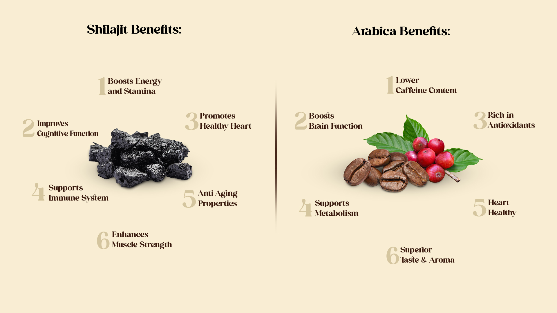 True Monk Morning Ritual | Shilajit/Shilajeet Coffee for Men & Women | Natural Pre-Workout with Pure Himalayan Shilajit (Gold Standard) & Premium Arabica Beans | 45g | Rich Aroma | Make Hot & Cold