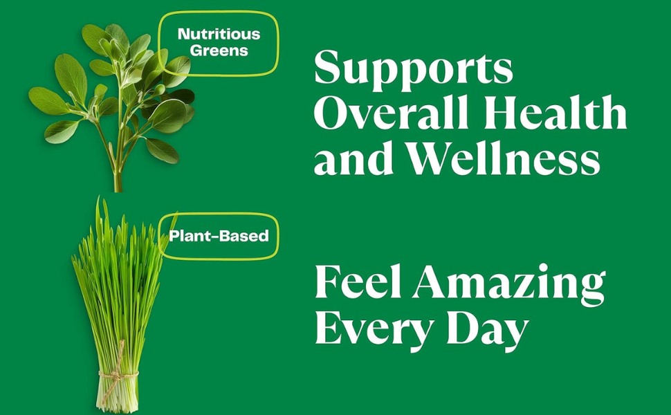 Alfalfa Tablets 120 Tablets | Medicago Sativa (Pack of 1)