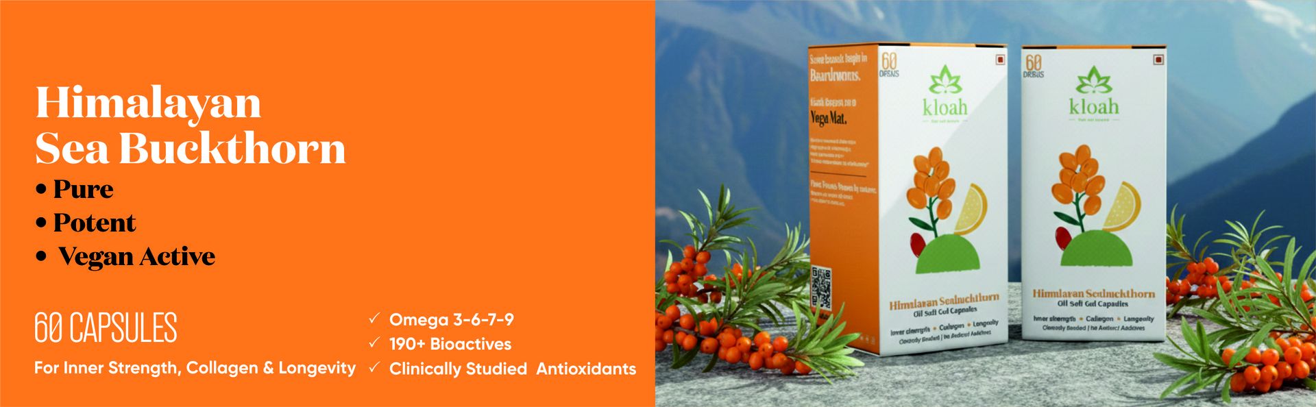 Sea Buckthorn Oil Capsule (60 Count) | Omega 7 | High Potency Omega 3, 6, 9