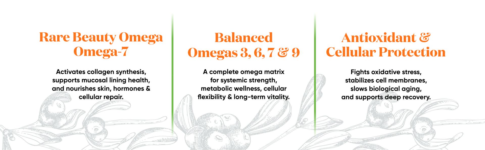 Sea Buckthorn Oil Capsule (60 Count) | Omega 7 | High Potency Omega 3, 6, 9