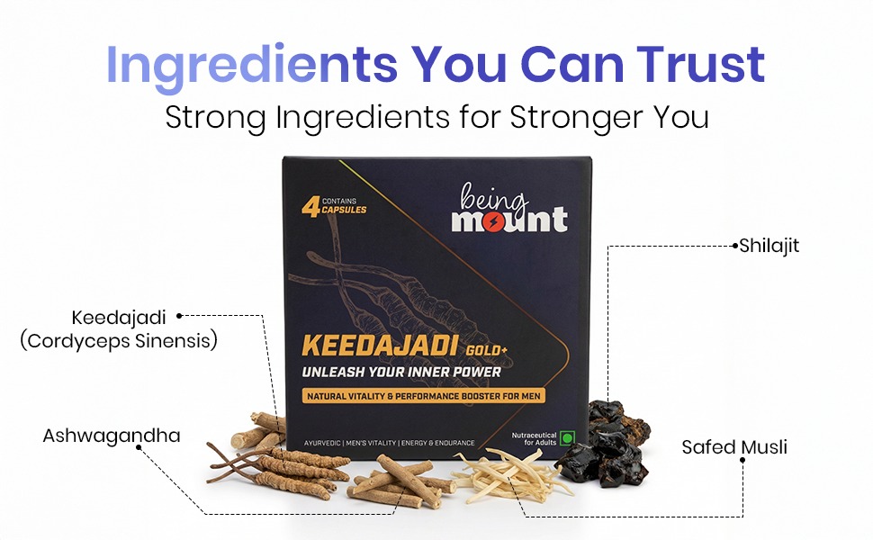 Keedajadi Gold Plus Shilajit, Natural Vitality Performance Booster for Men, Energy Stamina Endurance Testosterone Support Ayurvedic Supplement, 4 Capsules