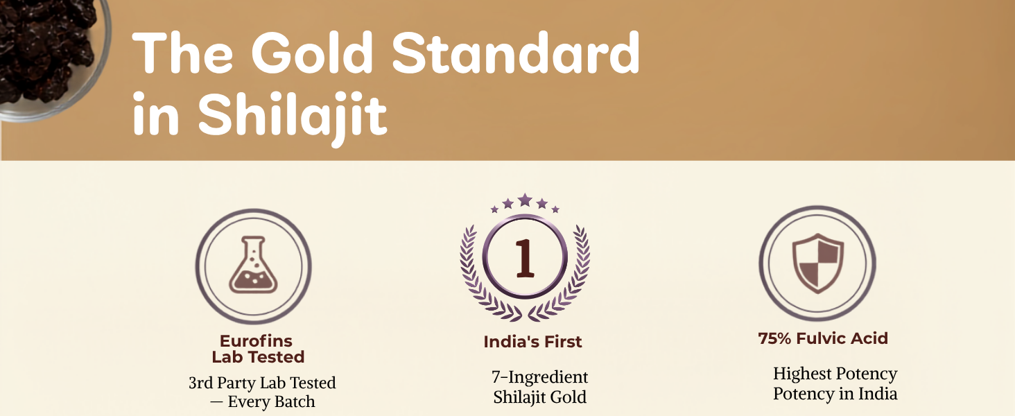 KINETQ Shilajit Gold Resin 20g for Men & Women (20g)