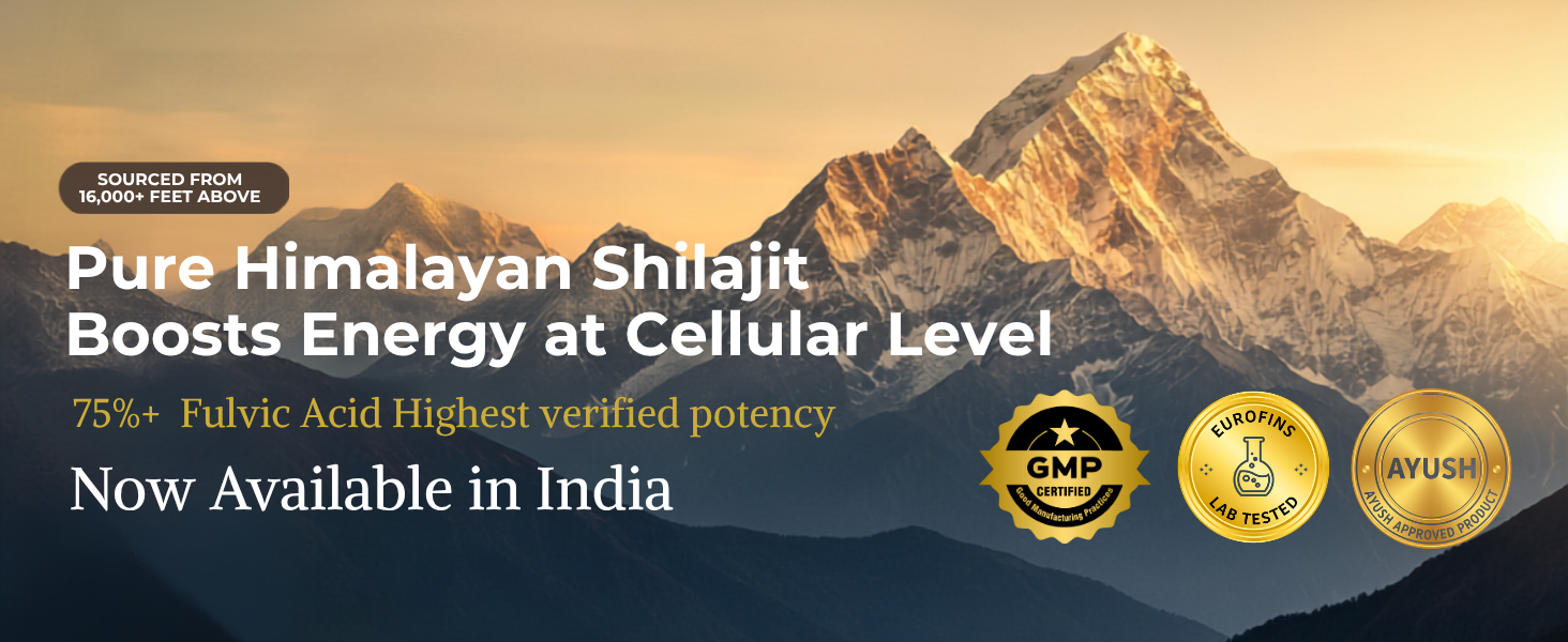 KINETQ Shilajit Gold Resin 20g for Men & Women (20g)