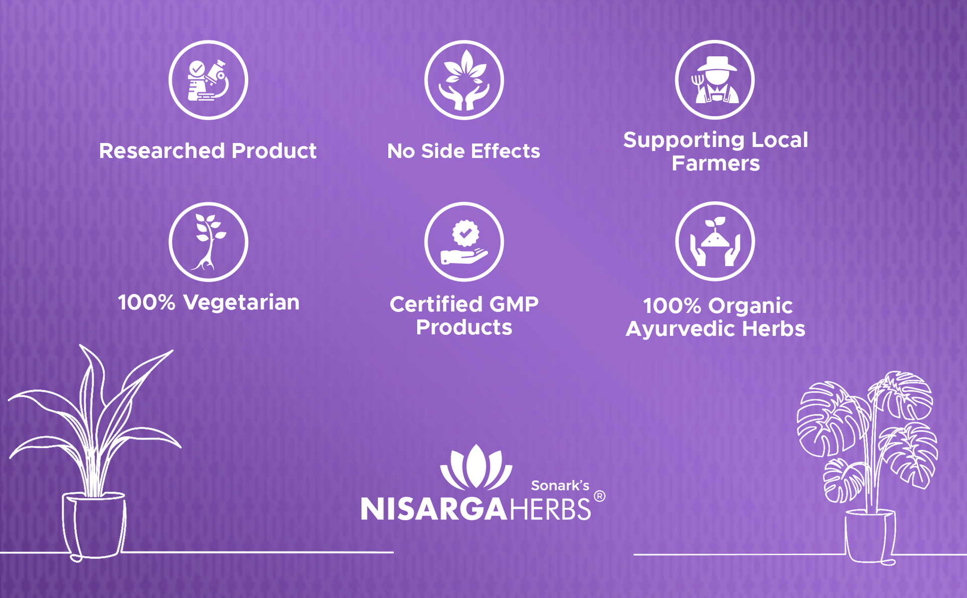SONARK'S NISARGA HERBS Brahmi Tablets 500mg (Pack of 2, 120 Tablets Total) – Ayurvedic Mind Wellness Supplement for Adults – Natural Cognitive Support for Memory, Focus & Daily Stress Management