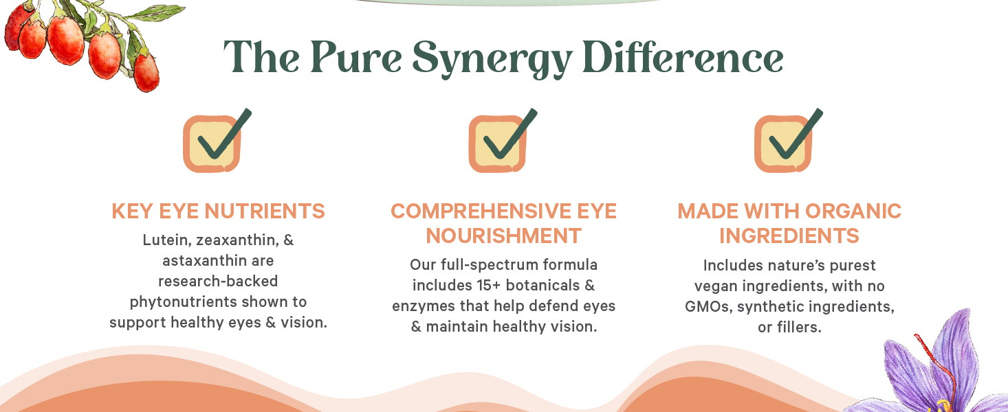 PURE SYNERGY Eye Protector Eye Health Supplement (60 Capsules)