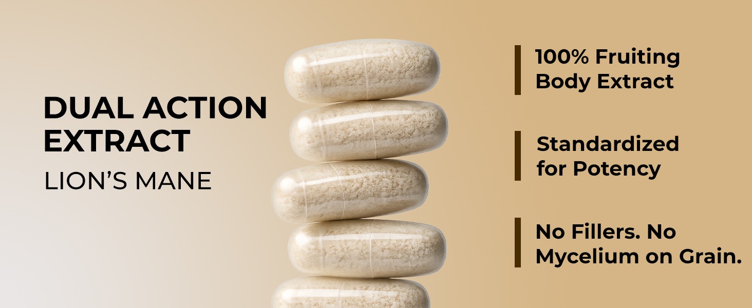 ROOTED Organic Lions Mane Mushroom Extract Capsules, 38% Beta Glucan, 90 Counts, Herbal Supplement, Capsule Form, Brain & Nervous System Support