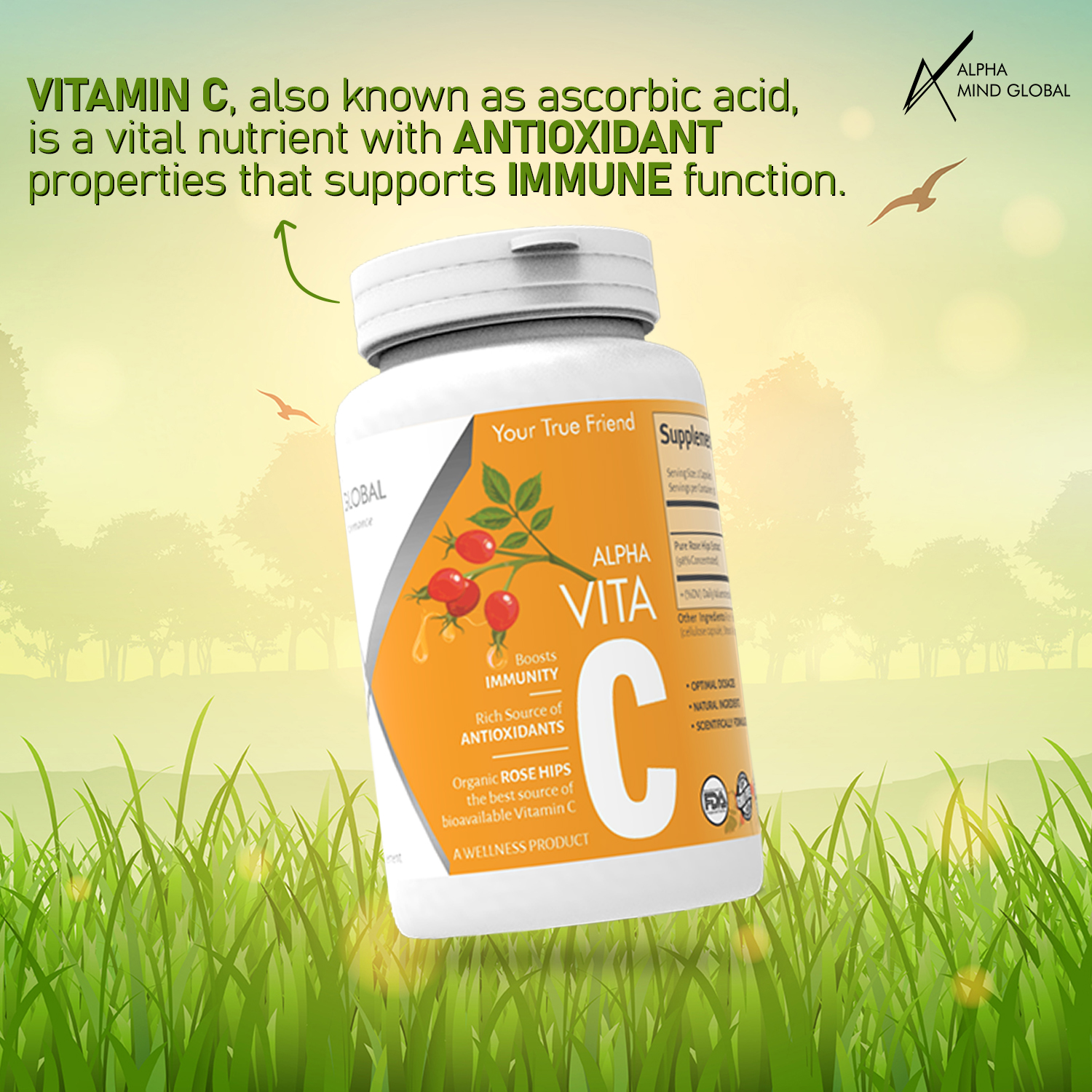 ALPHA MIND GLOBAL Vita C : Vitamin C 1000 Mg Capsule With Pure Organic Rose Hips - Antioxidant & Immune Support - Supports Healthy Skin & Joints-Non Gmo-Fssai Approved - 30 Servings