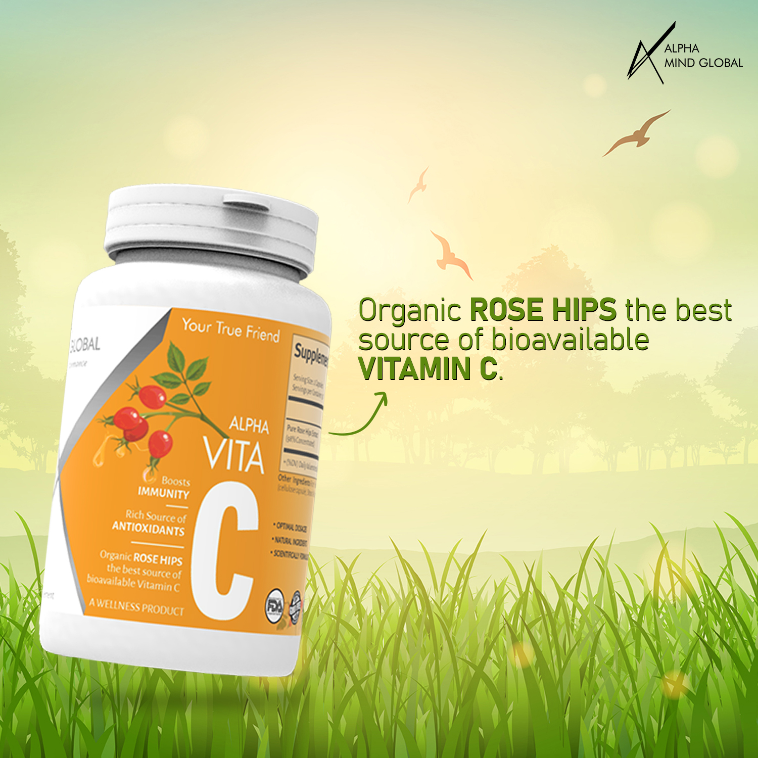 ALPHA MIND GLOBAL Vita C : Vitamin C 1000 Mg Capsule With Pure Organic Rose Hips - Antioxidant & Immune Support - Supports Healthy Skin & Joints-Non Gmo-Fssai Approved - 30 Servings