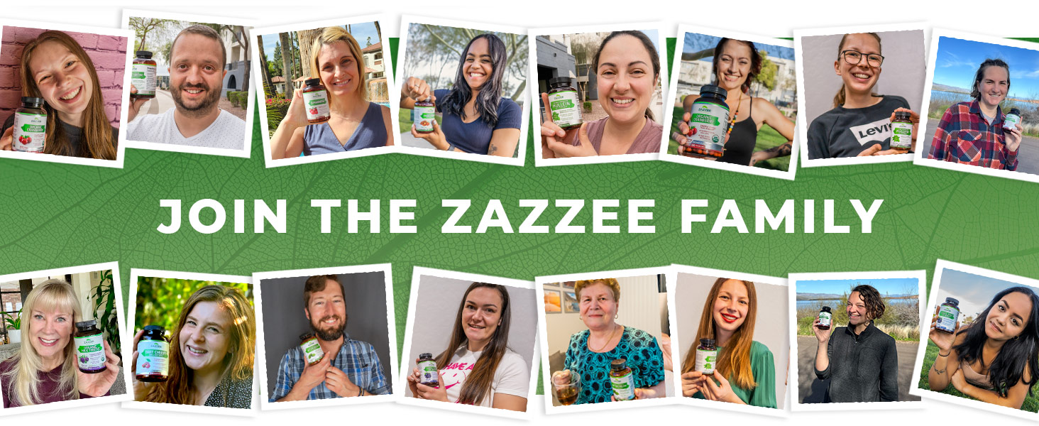 Zazzee USDA Organic Milk Thistle 50:1 Extract, 200 Vegan Capsules