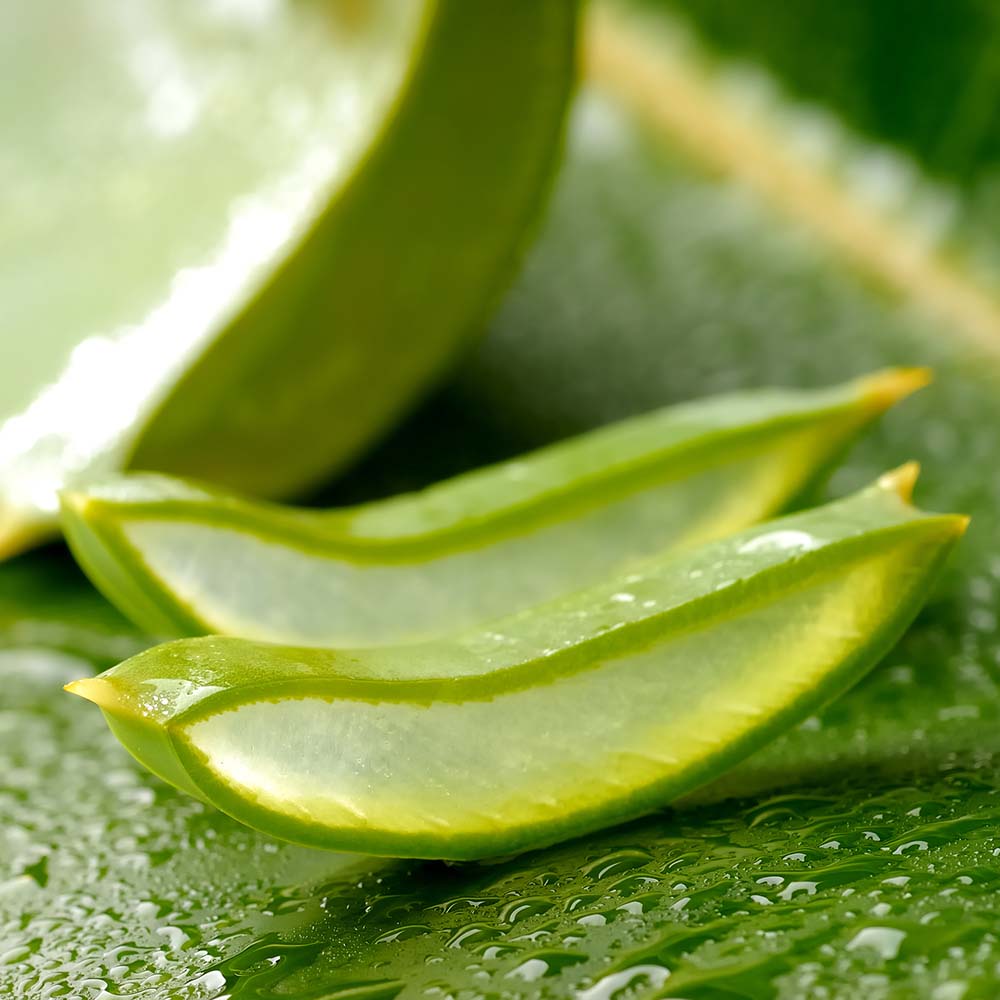 Daily Greens Formula Aloe Life 120 Tabs