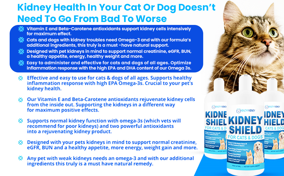 Dog and Cat Kidney Support, Canine Feline Renal Health Support Supplement For Normal Kidney Function, Creatinine, Detox, Urinary Track Cleansing, Best Kidney Stuff, Improve Pets Alive an Kidney Health