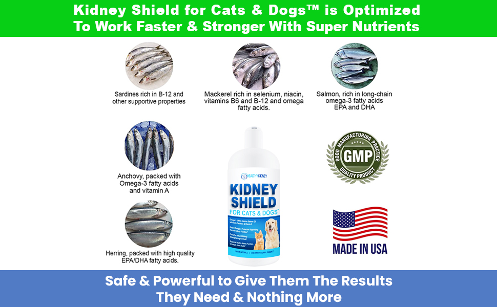 Dog and Cat Kidney Support, Canine Feline Renal Health Support Supplement For Normal Kidney Function, Creatinine, Detox, Urinary Track Cleansing, Best Kidney Stuff, Improve Pets Alive an Kidney Health