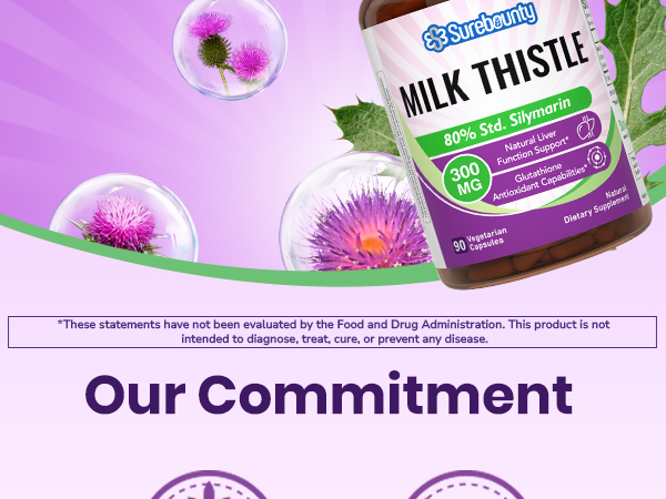 Milk Thistle, 300 mg, Concentrated Seed Extract with 80% Silymarin, Liver Cleanse Detox for Men + Women, Once Daily, 90 Veggie Caps