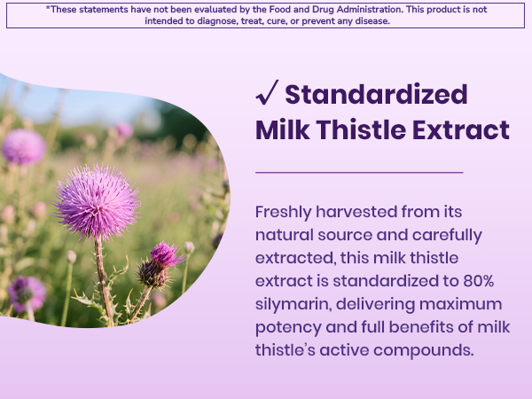 Milk Thistle, 300 mg, Concentrated Seed Extract with 80% Silymarin, Liver Cleanse Detox for Men + Women, Once Daily, 90 Veggie Caps