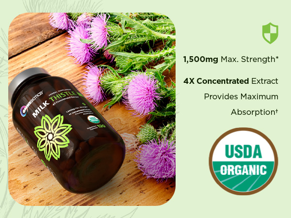 OmniBiotics Organic Milk Thistle Supplement 1500mg – 4X Concentrated Extract with Silymarin – High Potency Liver Detox & Support – 120 Vegan Capsules