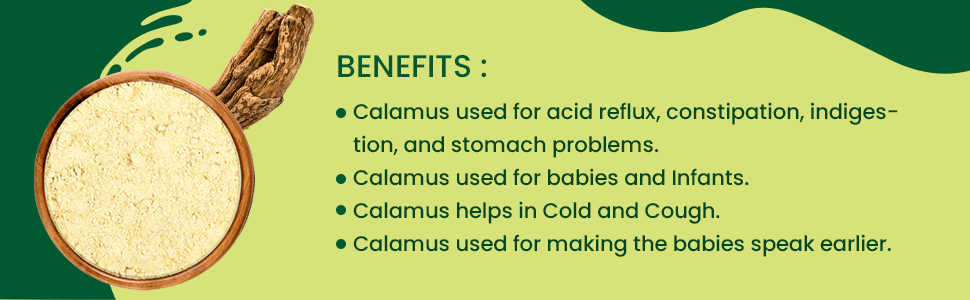 Foodherbs Vasambu Powder | 200g | Vacha | Sweet Flag | Acorus Calamus | Natural Herbal Powder | Supports Hair Growth, Dandruff & Lice Treatment | 100% Herbal