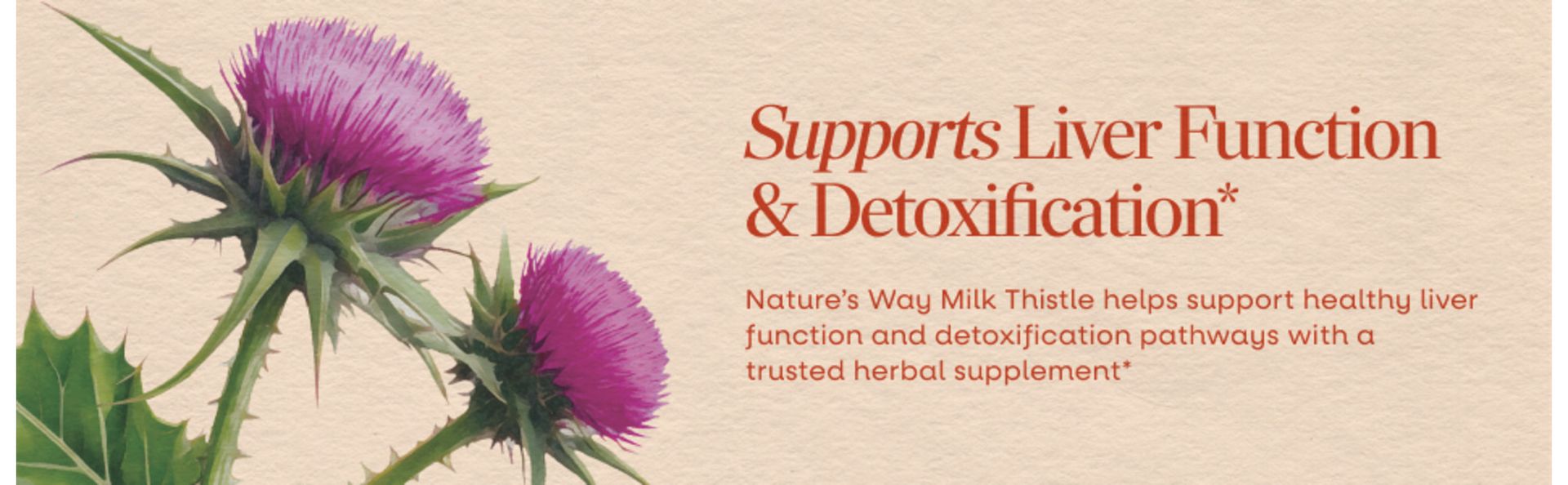 Nature's Way Milk Thistle Capsules, Supports Liver Function*, Vegan, 60 ct