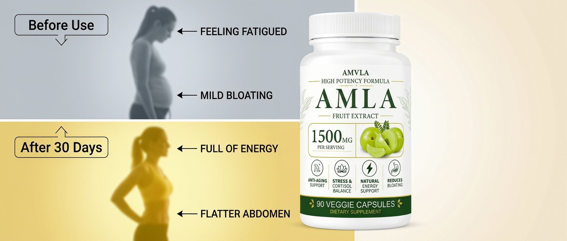 Indian Gooseberry Amla Fruit Supplement,1500 mg,90 Capsules