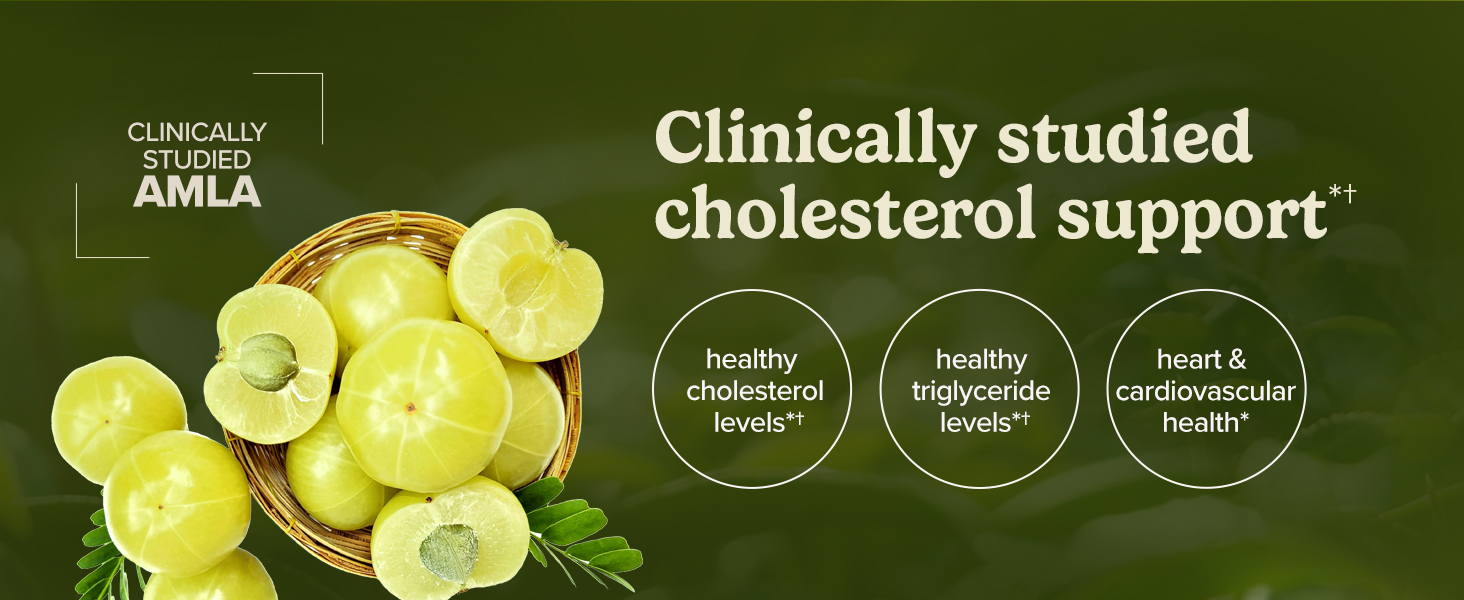Terry Naturally Healthy Cholesterol with Amla - Heart Health - 60 Count