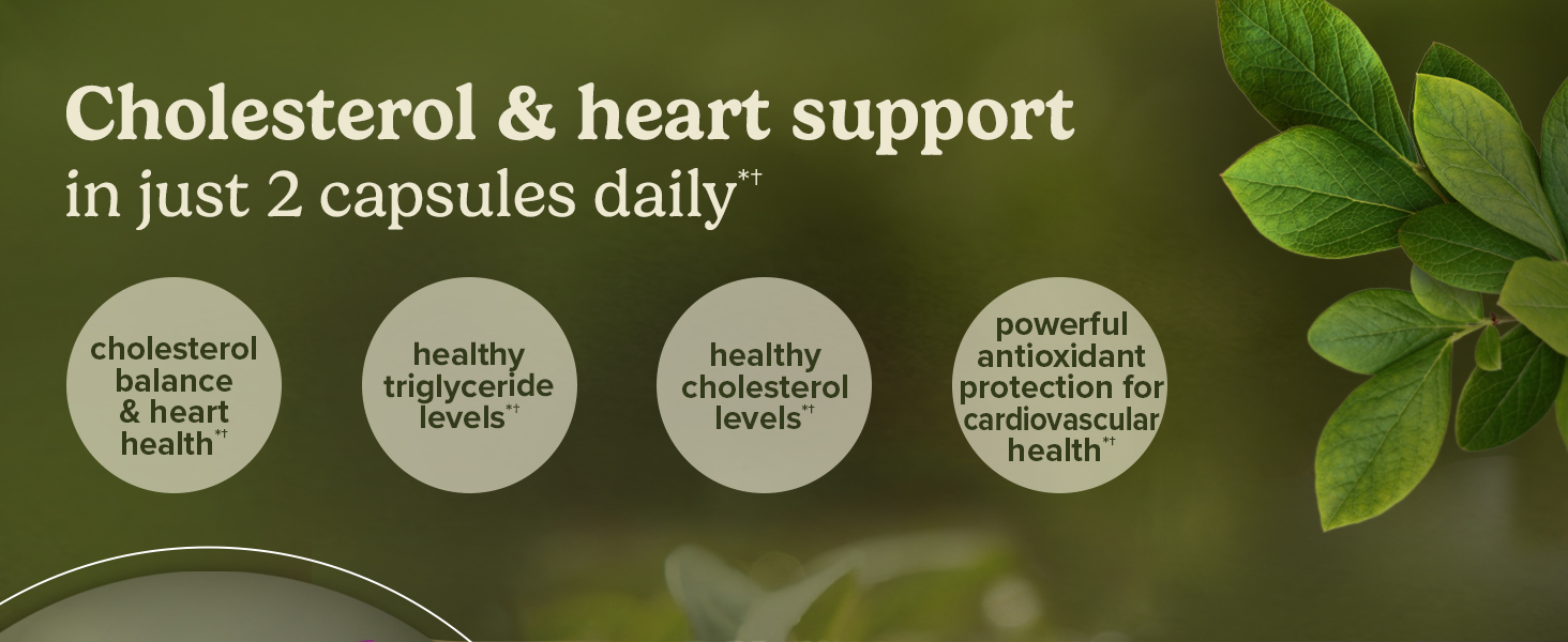 Terry Naturally Healthy Cholesterol with Amla - Heart Health - 60 Count