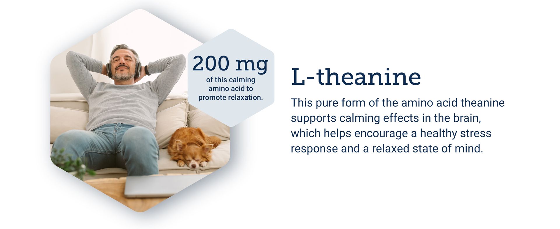 Life Extension L-Theanine, 100 mg, Relaxation, 60 Capsules