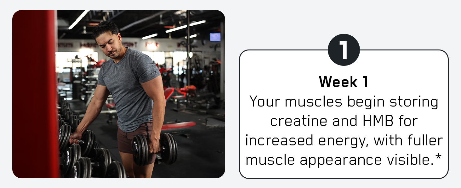 SteelFit Creatine HMB Powder - 5g Creapure Creatine Monohydrate Powder