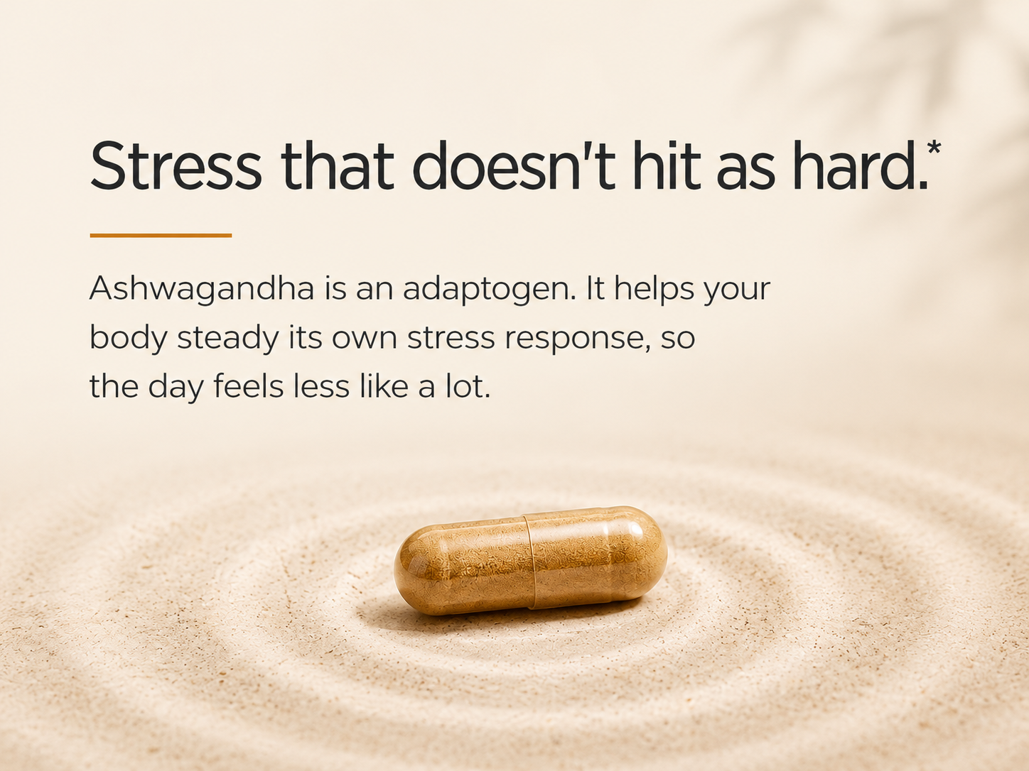 Shoden Ashwagandha Supplement for Women & Men| 120mg Capsules| 30 Servings