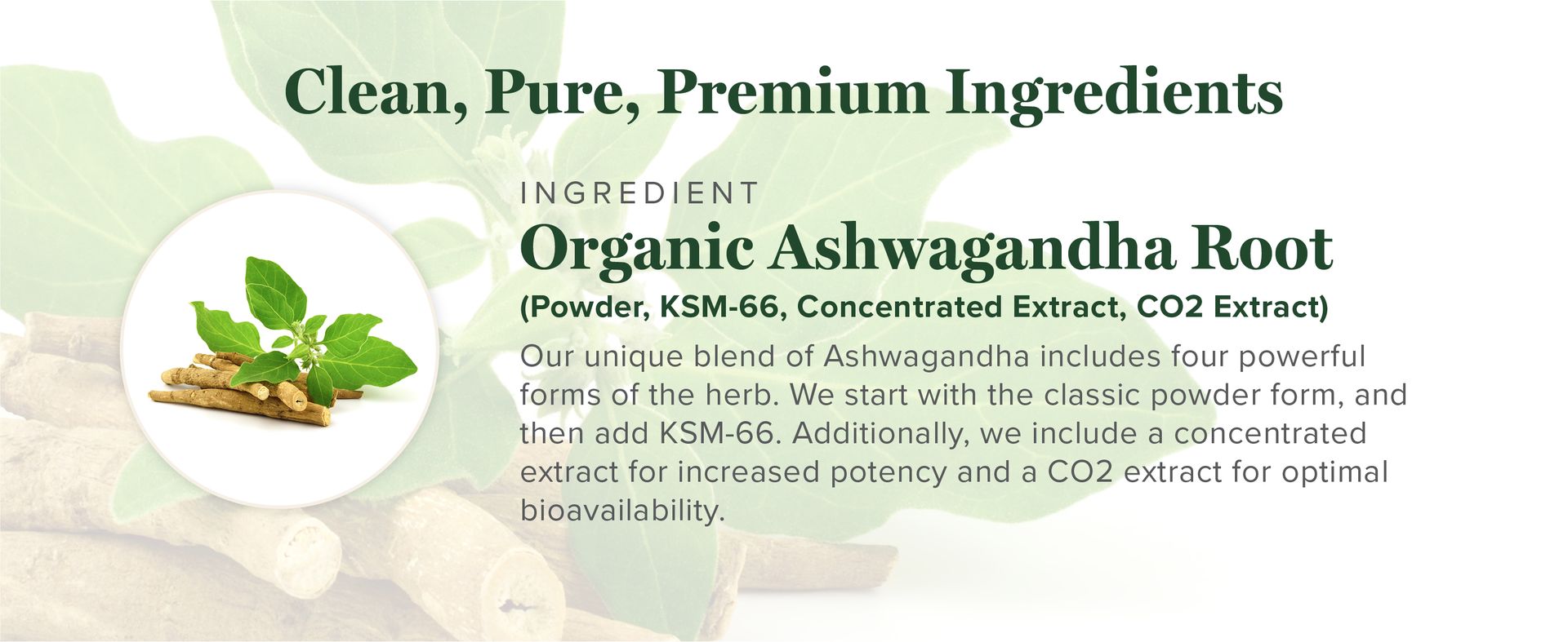 Organic Ashwagandha KSM-66 Extract Drops, Extra Strength Blend (2 Oz)