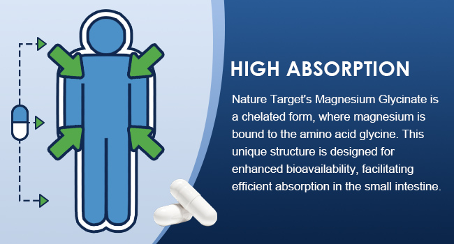 NATURE TARGET Magnesium Glycinate 1000mg with VC & B6, Vegan, 120 Capsules