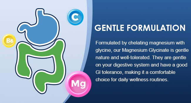 NATURE TARGET Magnesium Glycinate 1000mg with VC & B6, Vegan, 120 Capsules