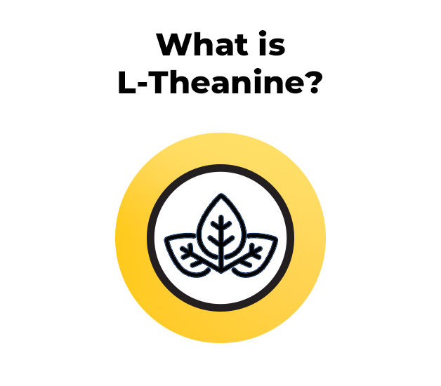 Nature Made Chewable L Theanine 200mg, 50 Chewable Tablets