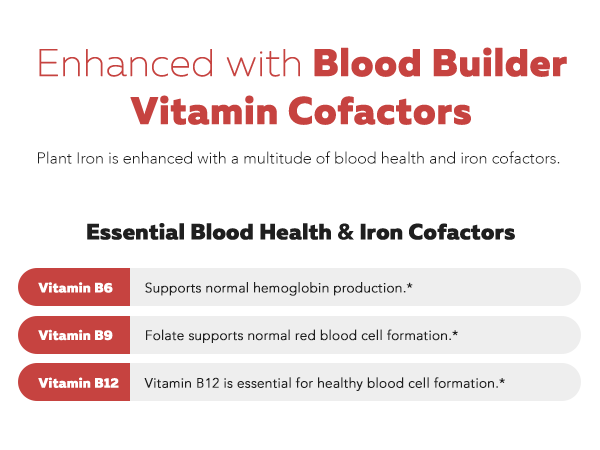 Organic Iron Supplement, Whole Food Mineral & Cofactors, 25mg, Gentle Form