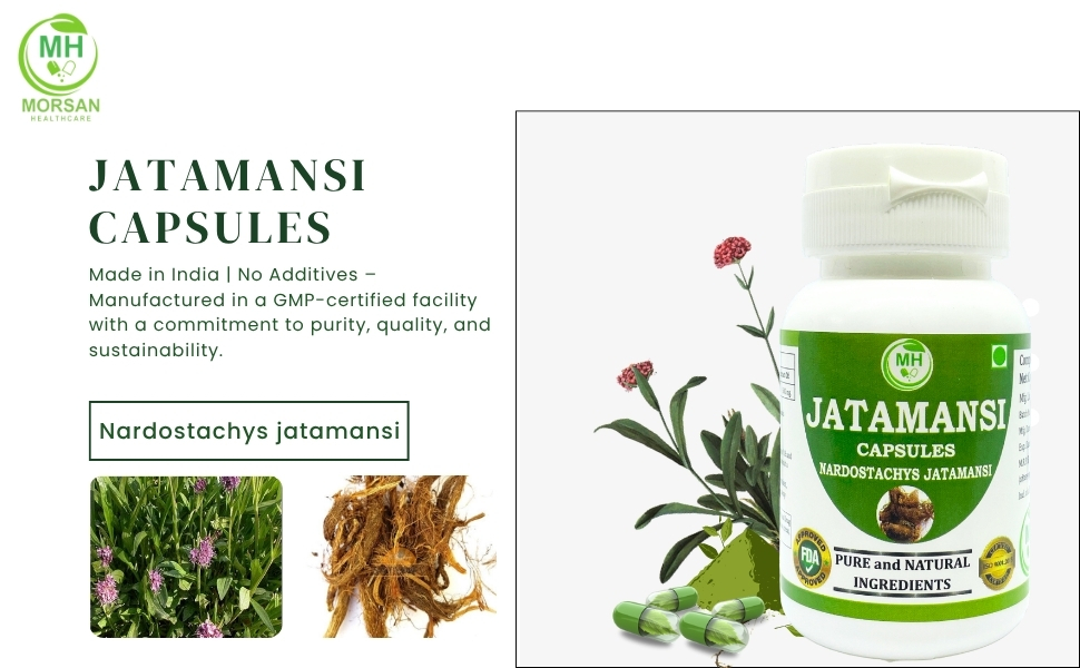 Jatamansi Capsules 500mg – 60 Count | Vegetarian | Plant-Based | Herbal Supplement | No Artificial Additives | Gluten-Free | Organic (pack of 1)