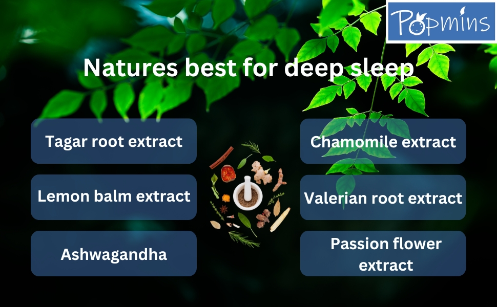 Vegan Melatonin Gummies 5mg with Ashwagandha – Sugar-Free Blueberry Sleep Gummies with Tagar Root, Chamomile & Lemon Balm – Restful Deep Sleep Aid for Men & Women – 30 Day Supply