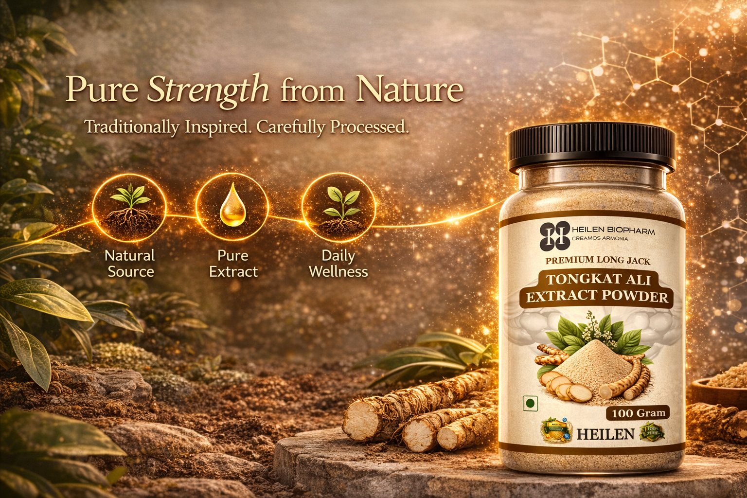 Heilen Biopharm Long Jack Tongkat Ali Root Extract Powder 100:1 | 100g (Pack of 2) | 5% Eurycomanone | Herbal Supplement for Energy & Stamina Support
